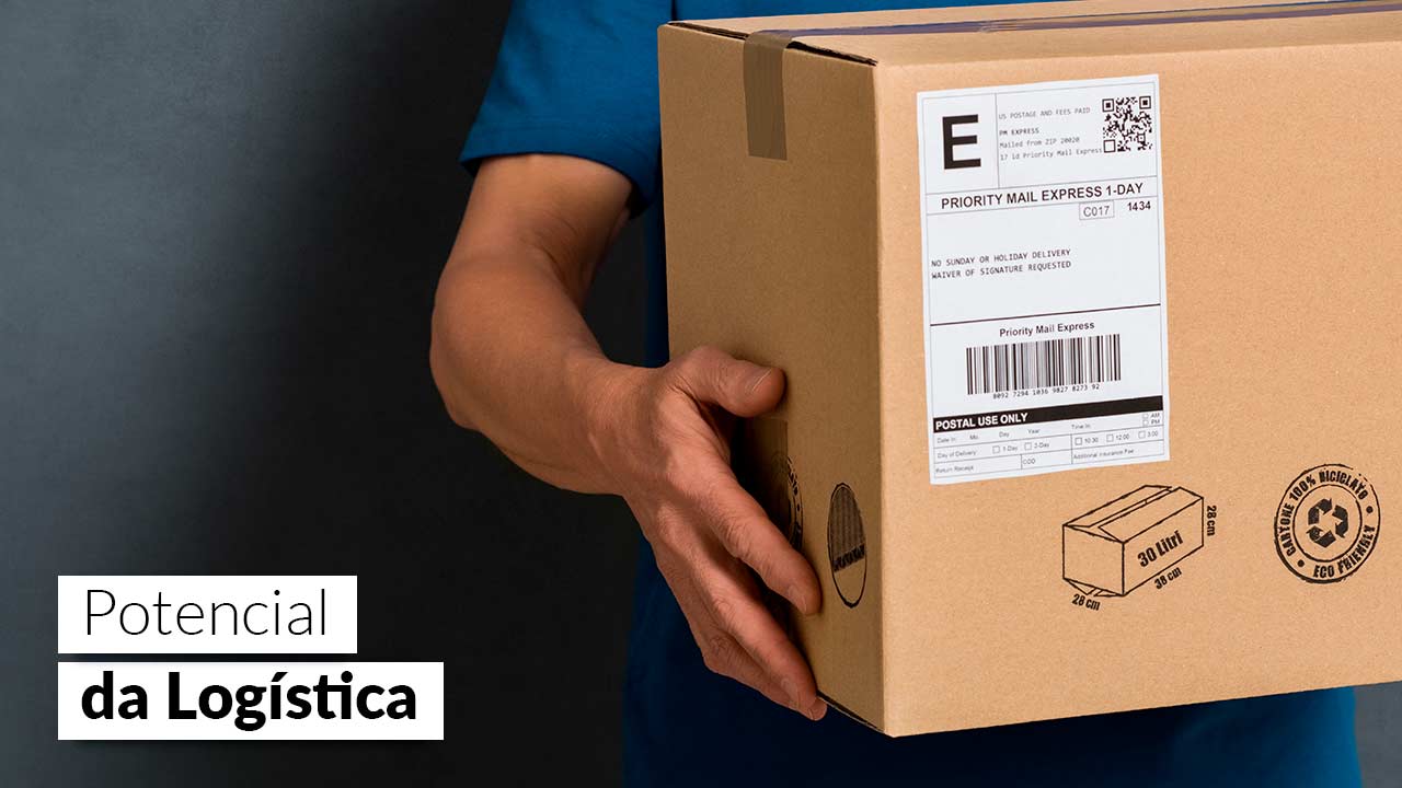 No momento, você está visualizando Sem Logística, E-commerce não funciona