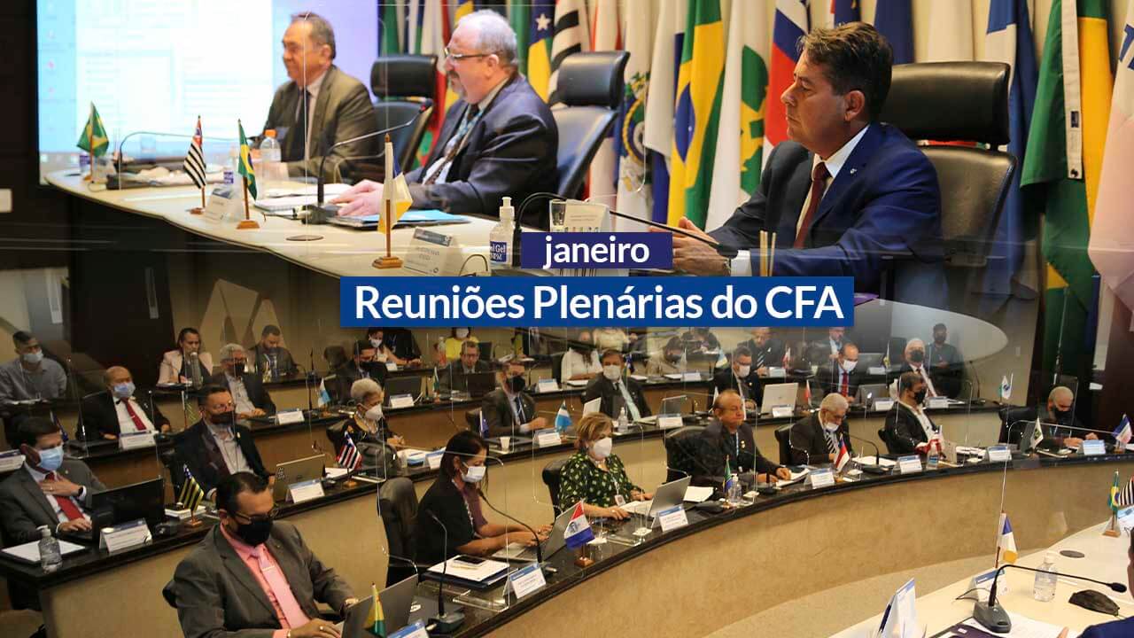 No momento, você está visualizando Reuniões Plenárias de 2022: CFA discute ações da profissão