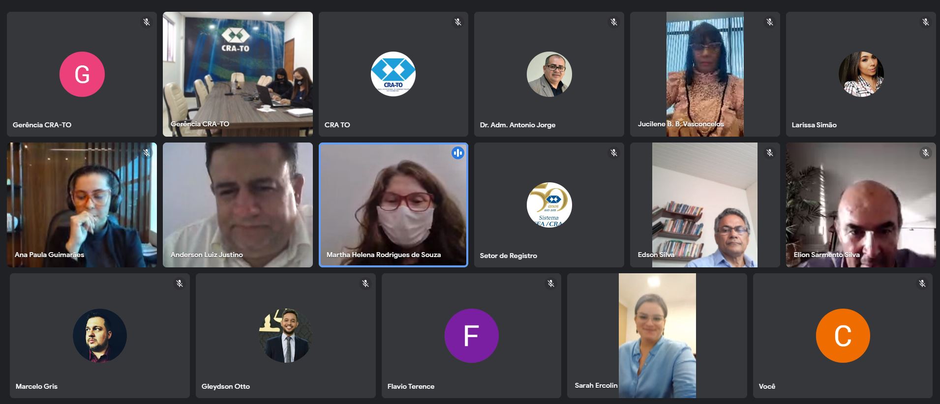 No momento, você está visualizando Conselheiros do CRA-TO reúnem-se para a 2º reunião plenária do ano