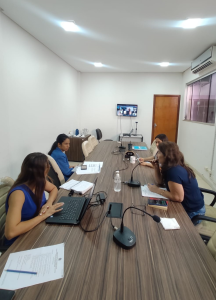 Leia mais sobre o artigo Conselheiros do CRA-TO reúnem-se para a 8º reunião plenária do ano